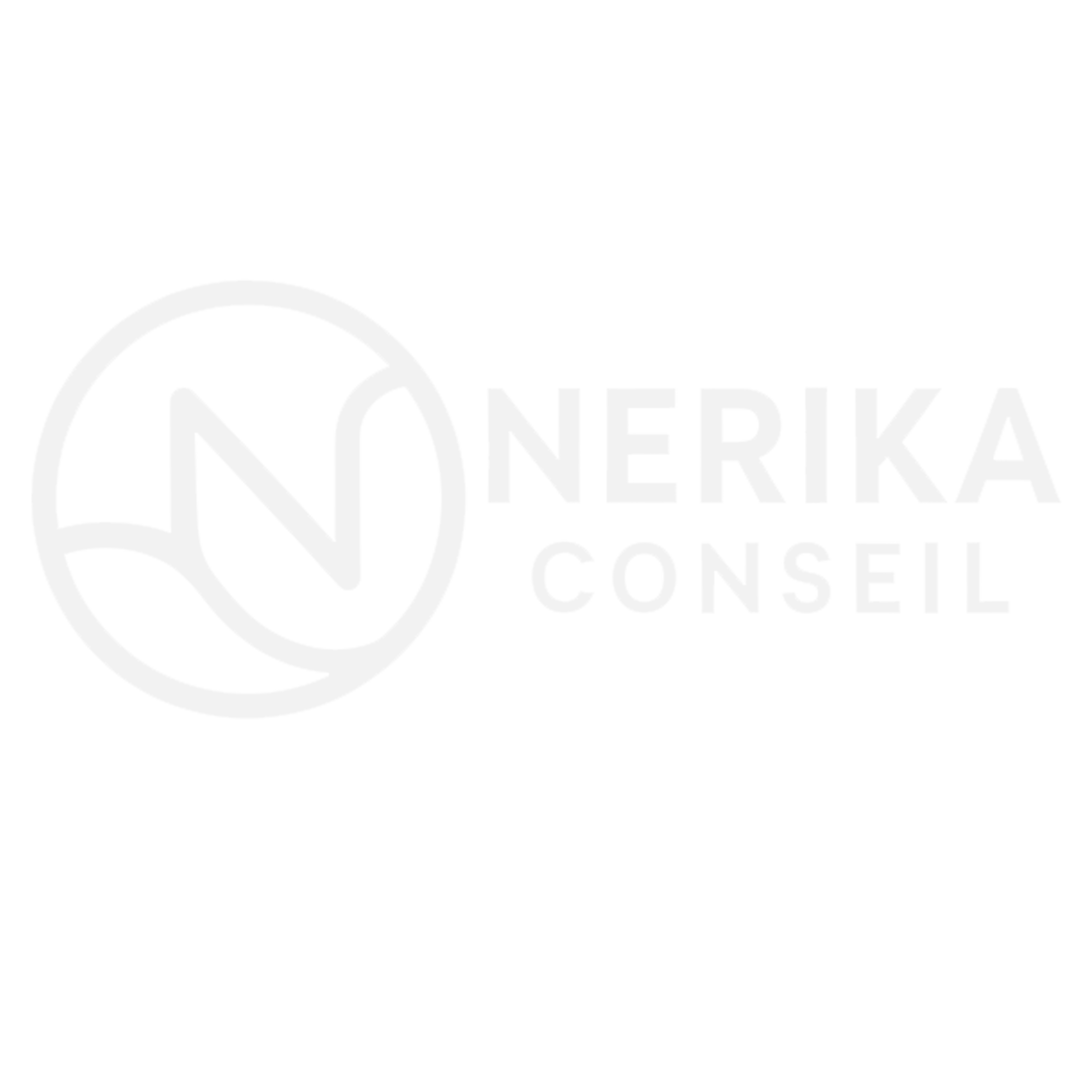 NERIKA CONSEIL